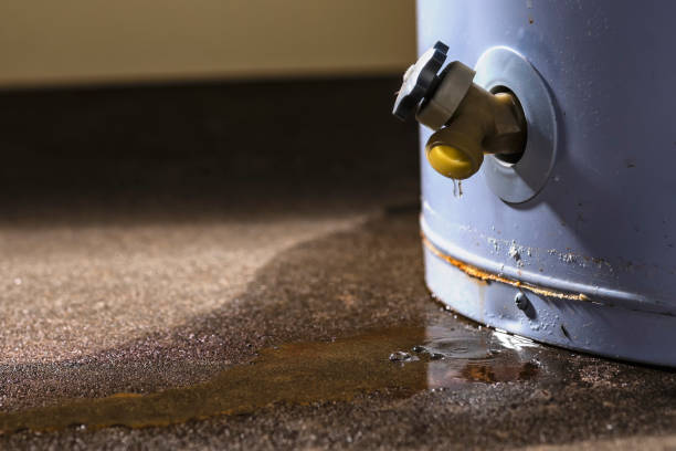 Best Water damage repair service  in Nappanee, IN