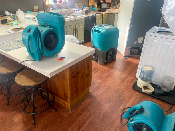 Best Water damage mitigation services  in Nappanee, IN