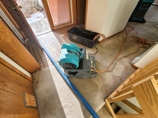 Best Water damage restoration near me  in Nappanee, IN