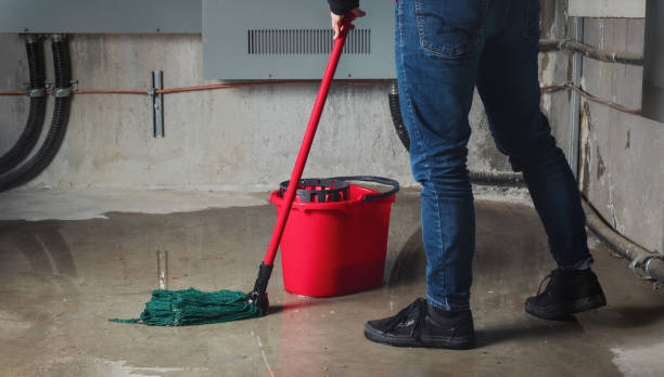 Best Water damage restoration near me  in Nappanee, IN
