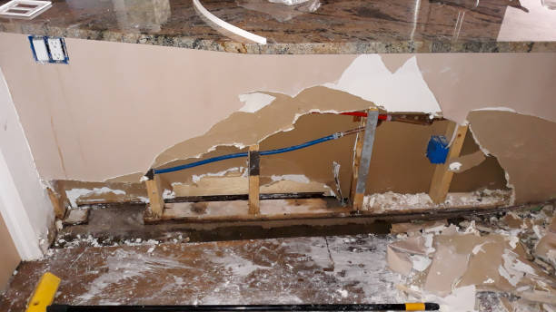 Best Water damage contractors near me  in Nappanee, IN