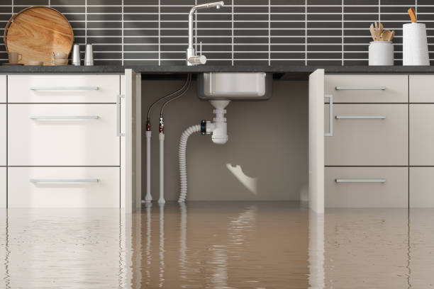 Best Flood restoration services  in Nappanee, IN