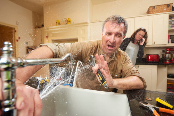 Best Water damage cleanup near me  in Nappanee, IN